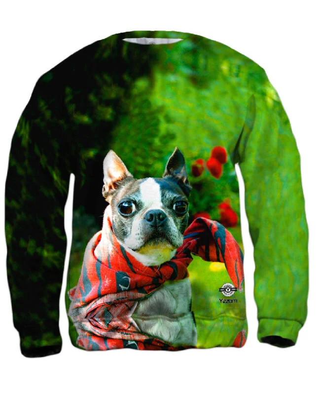 Weekend Specials to Delight Super Hero Boston Terrier