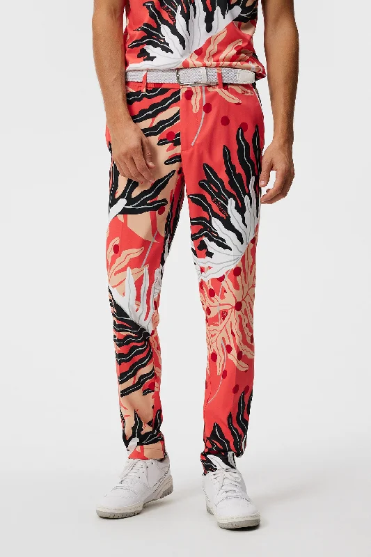 Amazing Deals Stuart Print Stripe Pant